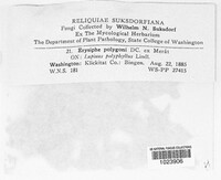 Image Associated With the Occurence